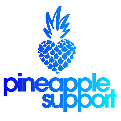 Sponsor logo